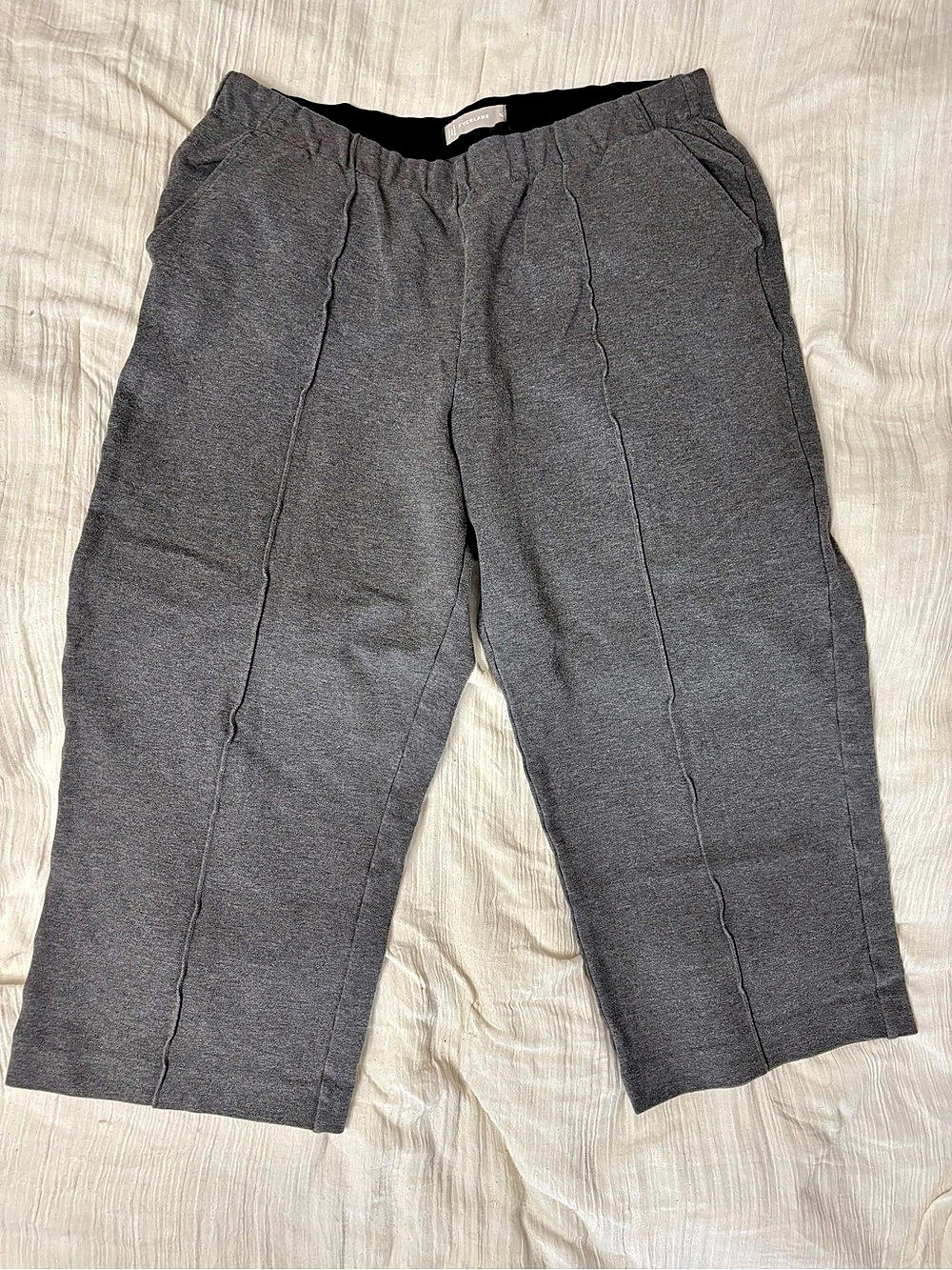 Everlane The Dream Pant Gray Ankle Pants Size XL